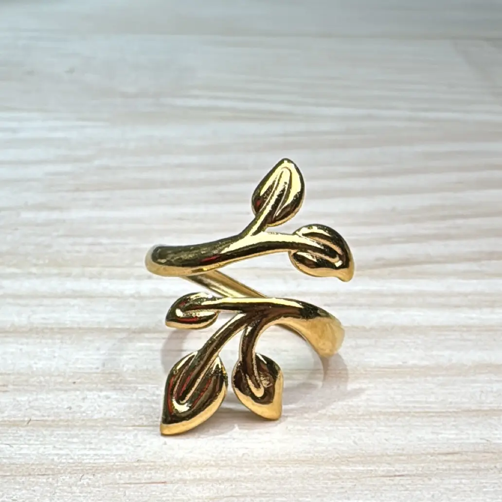 Fotografía de Anillo Ramita Envolvente Gold